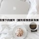 最新疫情下的国外（国外疫情目前发展情况）
